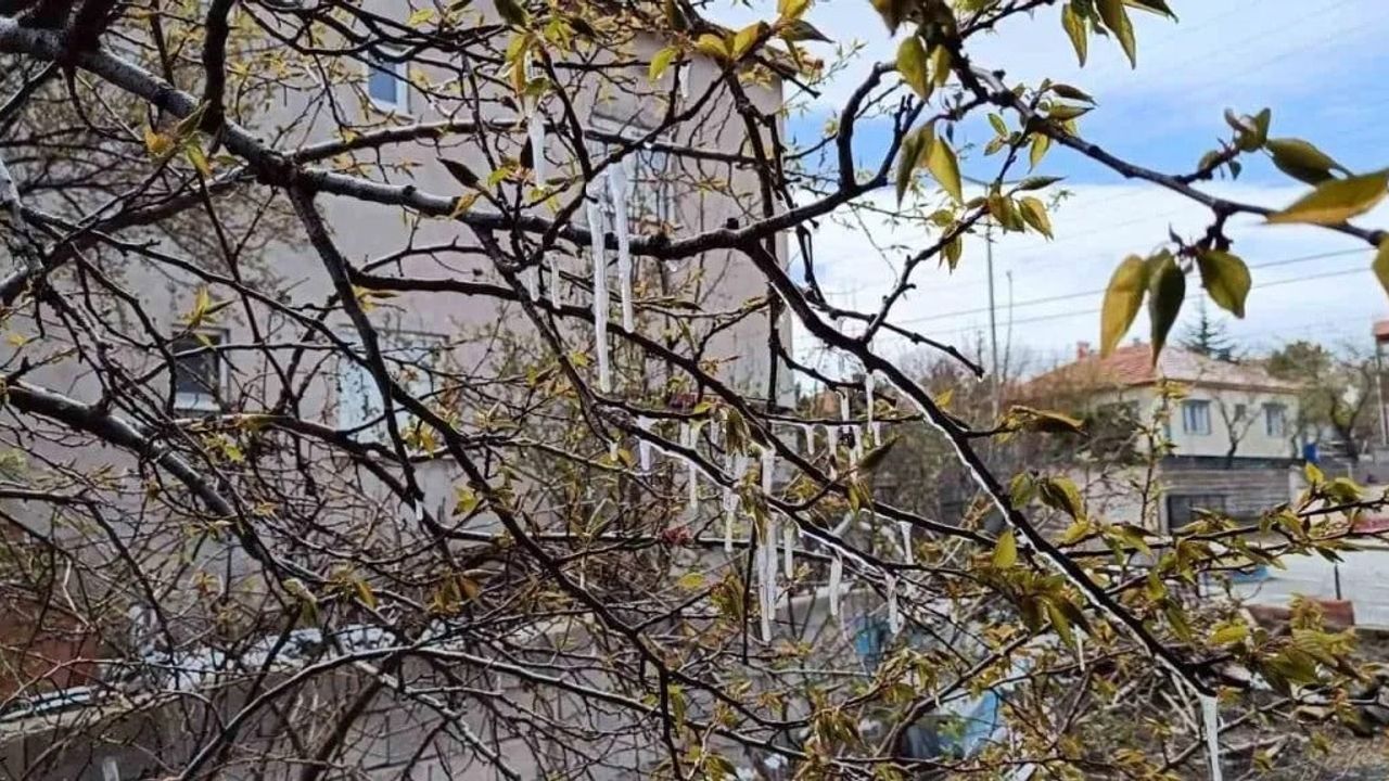 Yozgat'ta çiftçilere zirai don uyarısı: 10.04.2026–13.04.2026 arası yüksek kesimlerde risk