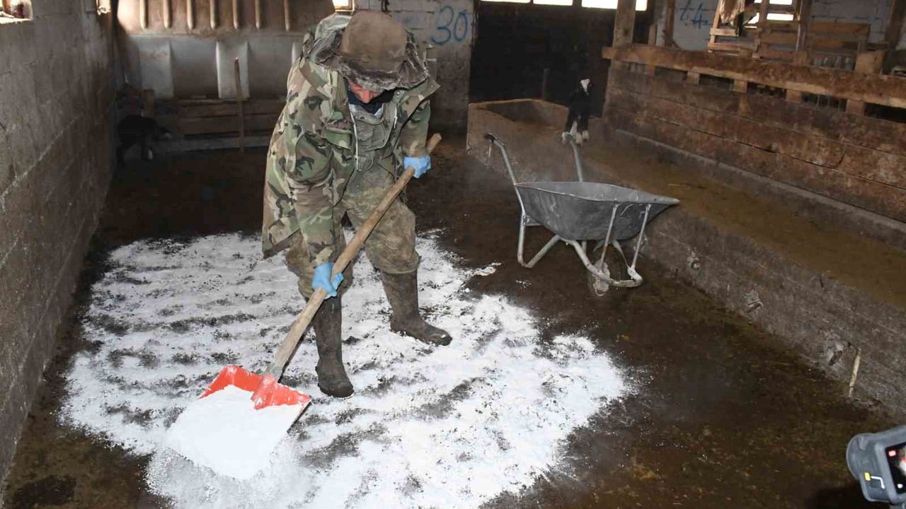 Yozgatlı yetiştirici kireç uygulamasıyla ahır hijyenini güçlendirdi: Doğum döneminde hayvan kaybı yaşanmadı