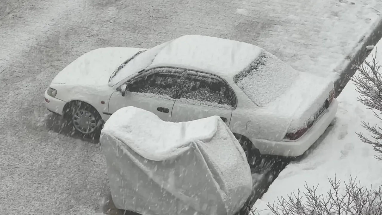 Yüksekova'da Nisan ayında kar yağışı: Merkez 10 santimetre ile beyaza büründü