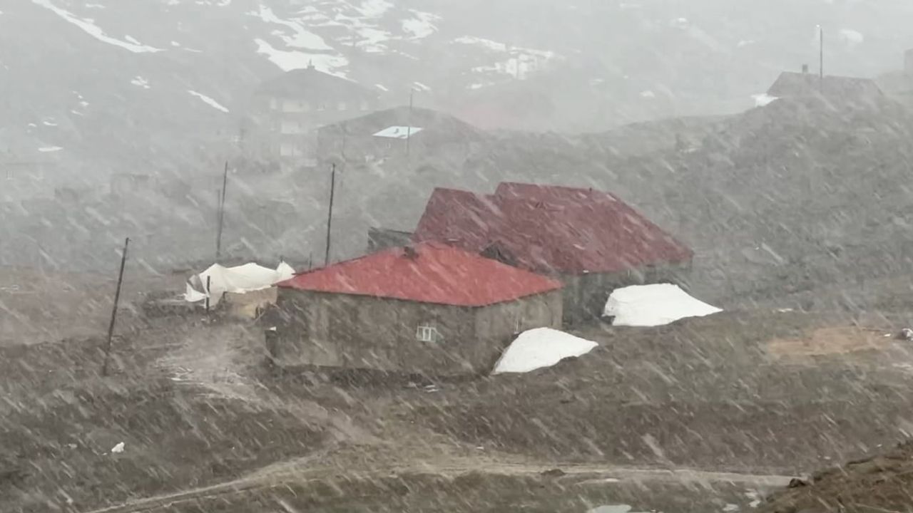 Yüksekova'da yoğun kar ve sis: Görüş 20 metreye kadar düştü, ekipler teyakkuzda