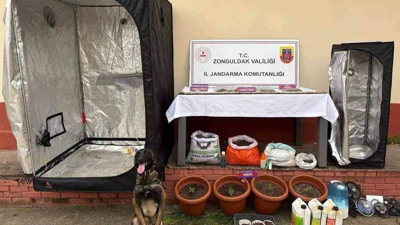 Zonguldak Çaycuma'da jandarma uyuşturucu operasyonu: 2 kişi tutuklandı