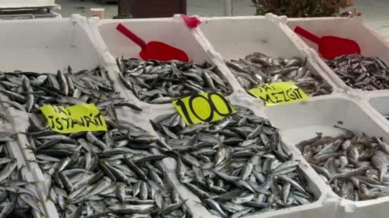 Zonguldak'ta balık tezgahlarında istavrit bolluğu, kilosu 100 TL