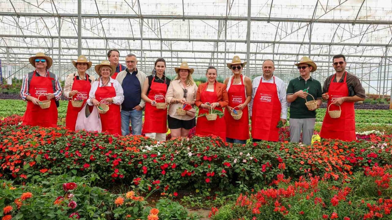 5. Uluslararası Antalya FoodFest, Akdeniz yeşillikleri hasadıyla başladı