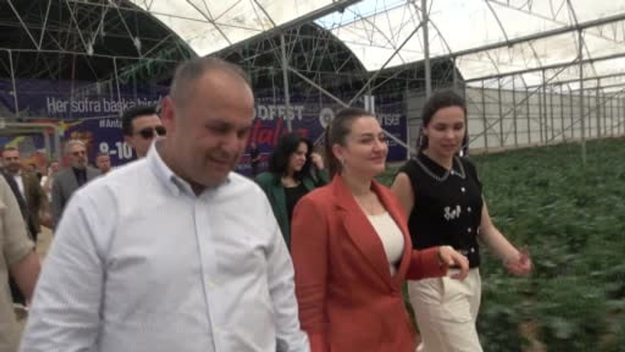 5. Uluslararası Antalya FoodFest Gastronomi Festivali, Akdeniz yeşillikleri hasadıyla başladı
