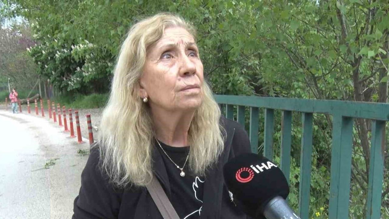 ABB'nin Eymir Gölü'ne atık su deşarjı toplu balık ölümlerine ve kötü kokuya yol açtı