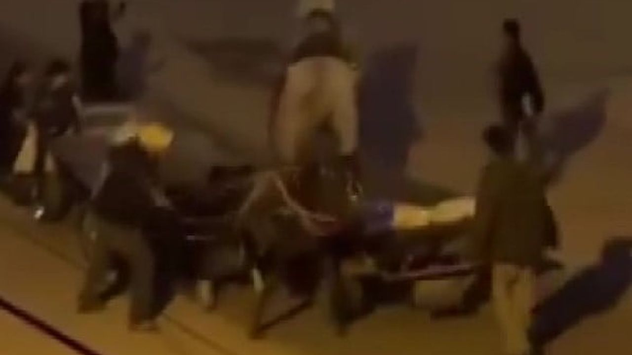 Adana Bahçelievler'de İki Ata Kırbaçla İşkence: Görüntüler Ortaya Çıktı