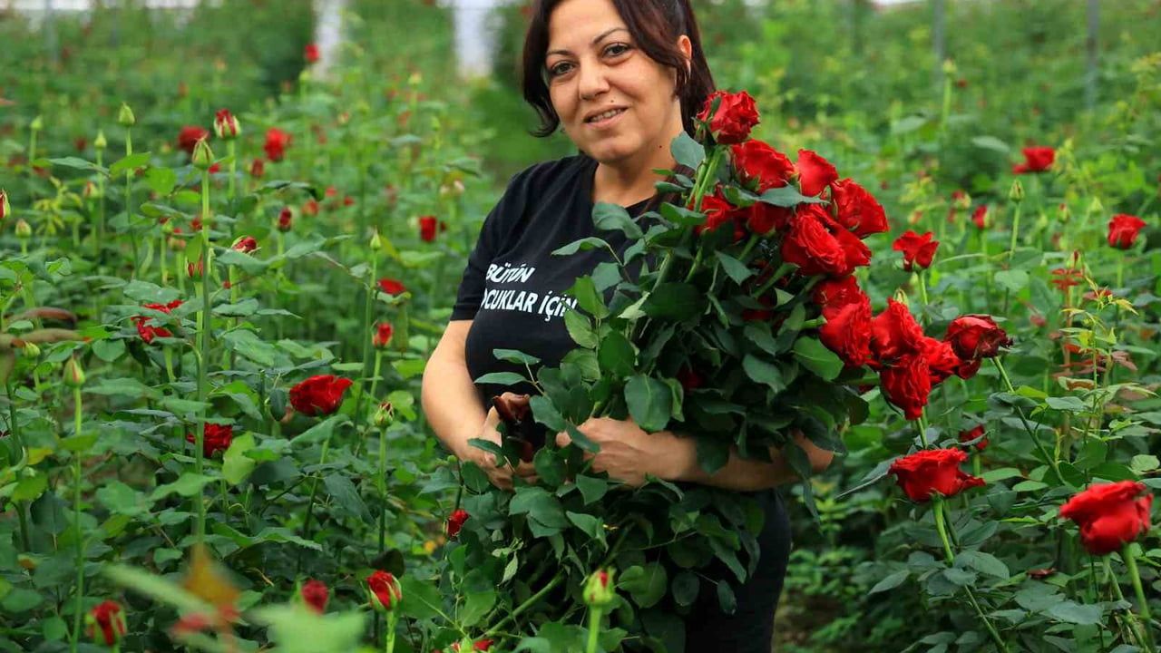 Adana’da Anneler Günü Öncesi: Serada 5 TL’ye Gül, Çiçekçide 50–100 TL