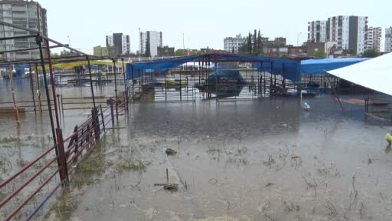Adana'da kurban pazarı sağanak sonrası suyla doldu: Besiciler mağdur