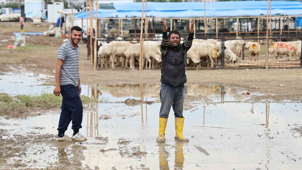 Adana'da sağanak kurban pazarlarını bastı: Besiciler belediyeye tepki gösterdi