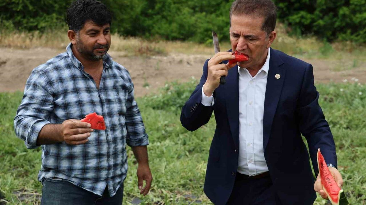 Adana'da tescilli karpuz hasadı başladı; tarlada kilo 25 liradan satılıyor