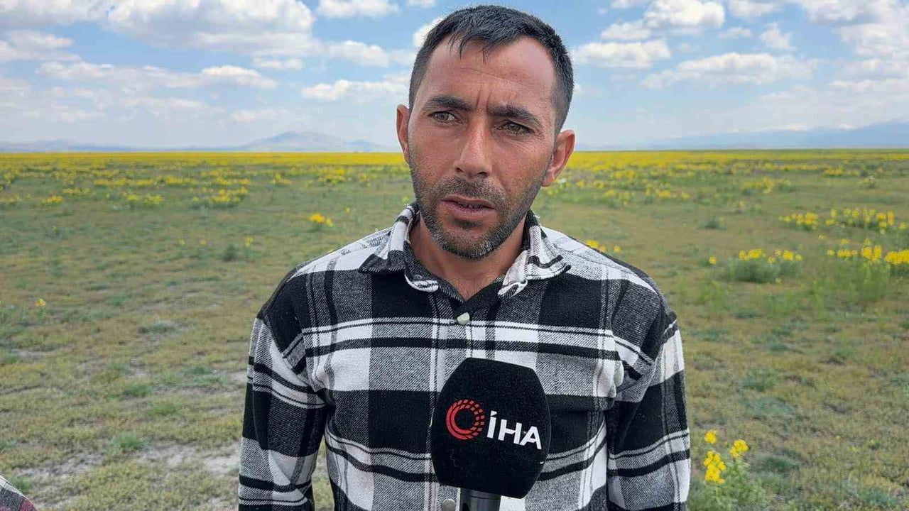 Afyonkarahisar'da koruma altındaki 'Eber sarısı' için ceza 699.245 TL'ye yükseldi