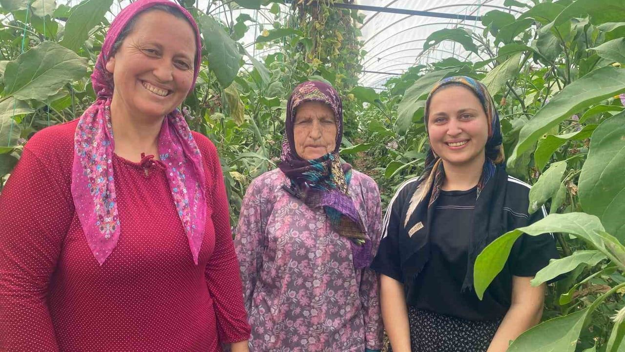 Aksu Boztepe'de üç kuşak kadın seracılığı: Nineden toruna üretim ve aile ekonomisine katkı