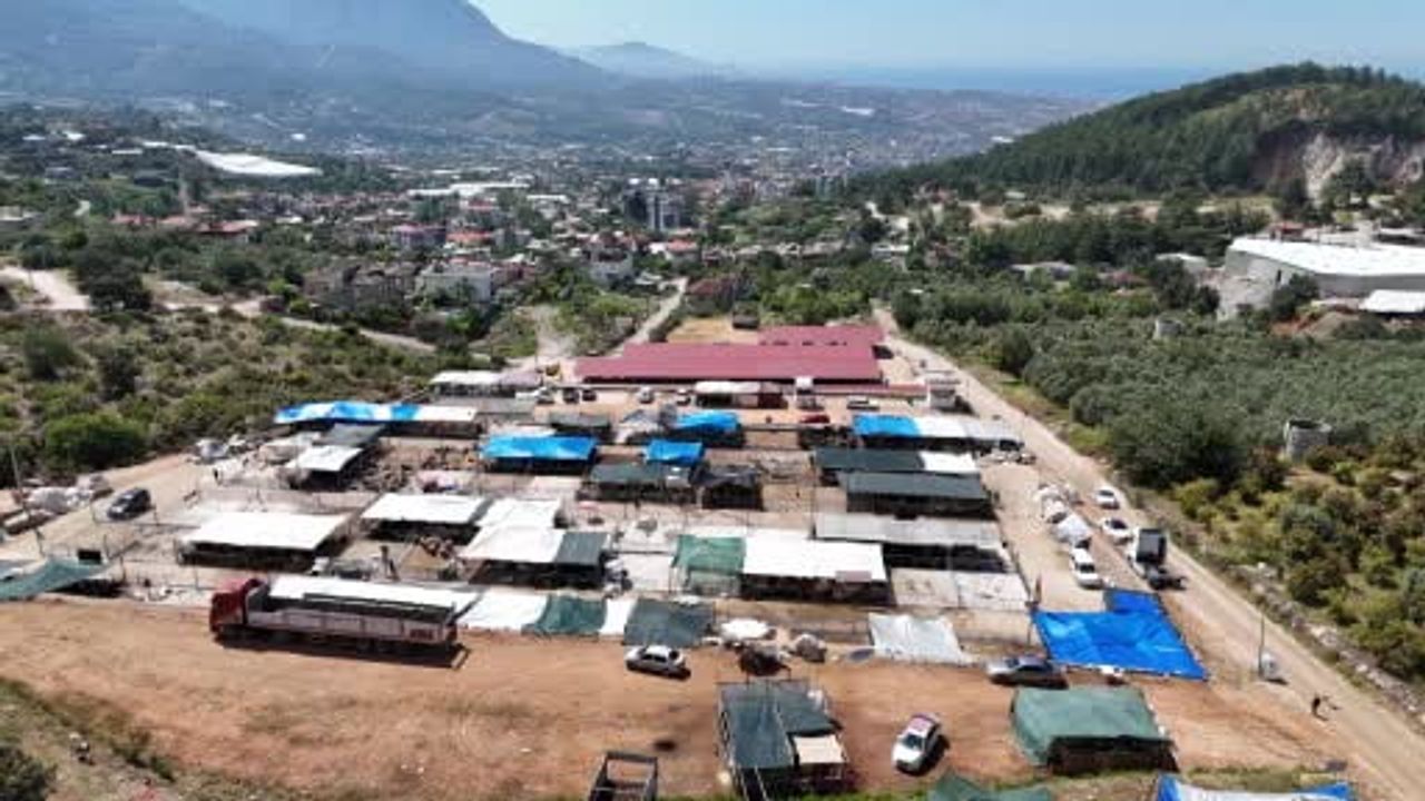 Alanya kurban pazarında 1 ton 200 kilogramlık dana 450 bin TL'ye satıldı