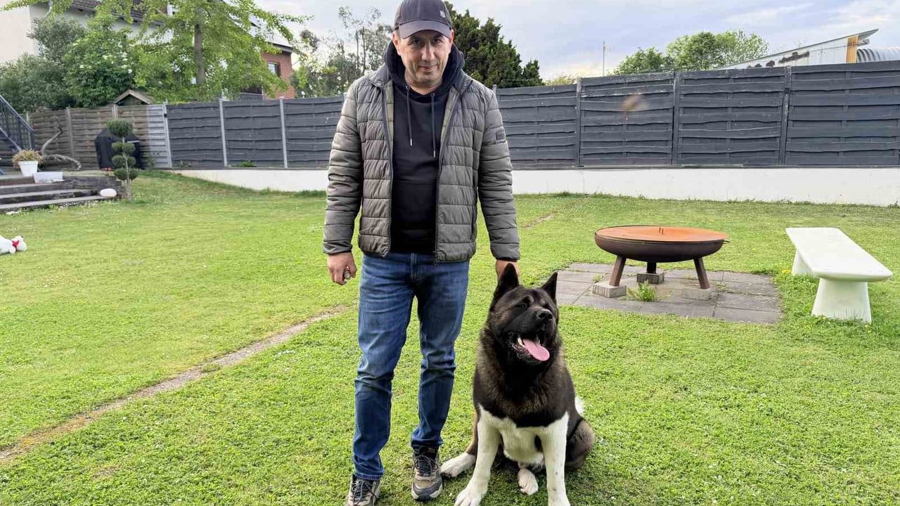 Almanya'da köpek sahiplerine zorunlu sorumluluk sigortası ve sıkı denetimler