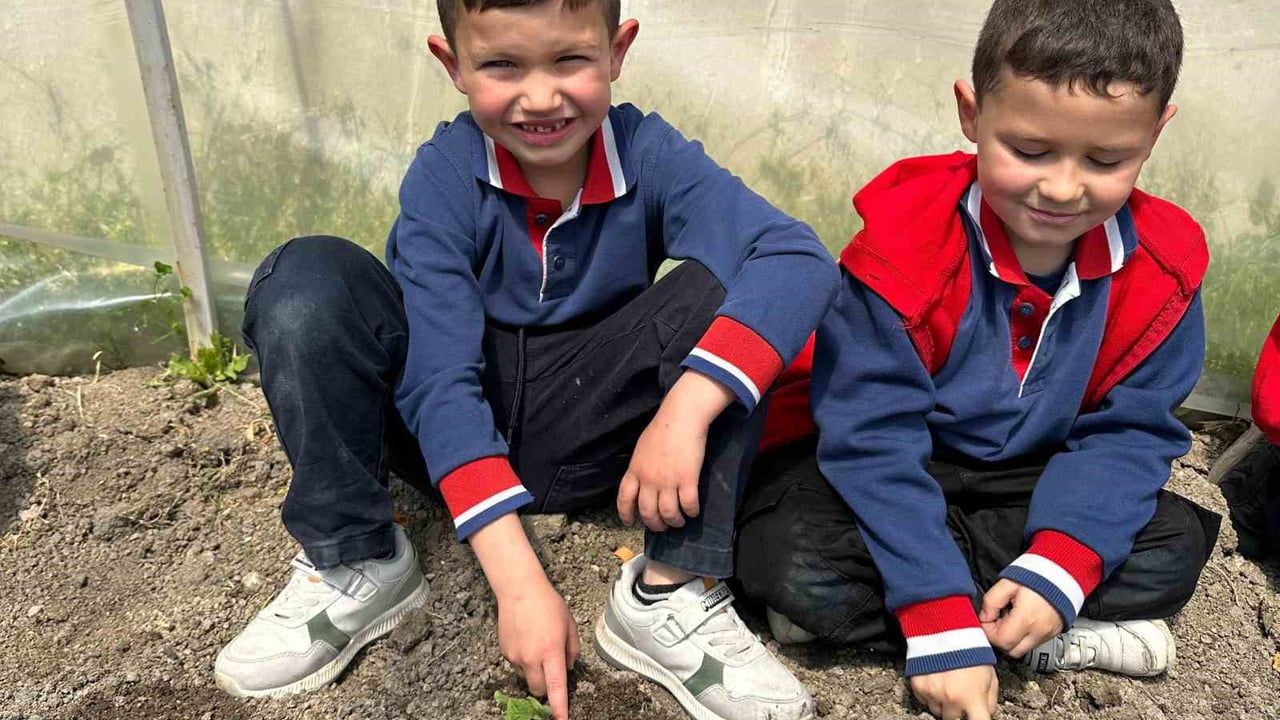 Altıntaş'ta Zafer İlkokulu öğrencileri 'Yerli Tohum Tarım Atölyesi' kapsamında salatalık fidesi dikti
