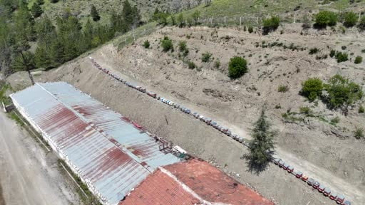 Ankara’da bin 200 endemik bitkinin arasında kraliçe ana arı üretimi: 350 kolonilik mesai