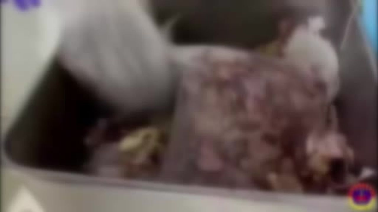 Ankara'da hijyenik olmayan koşullarda üretilen 40 ton et ele geçirildi, 2 şüpheli gözaltında