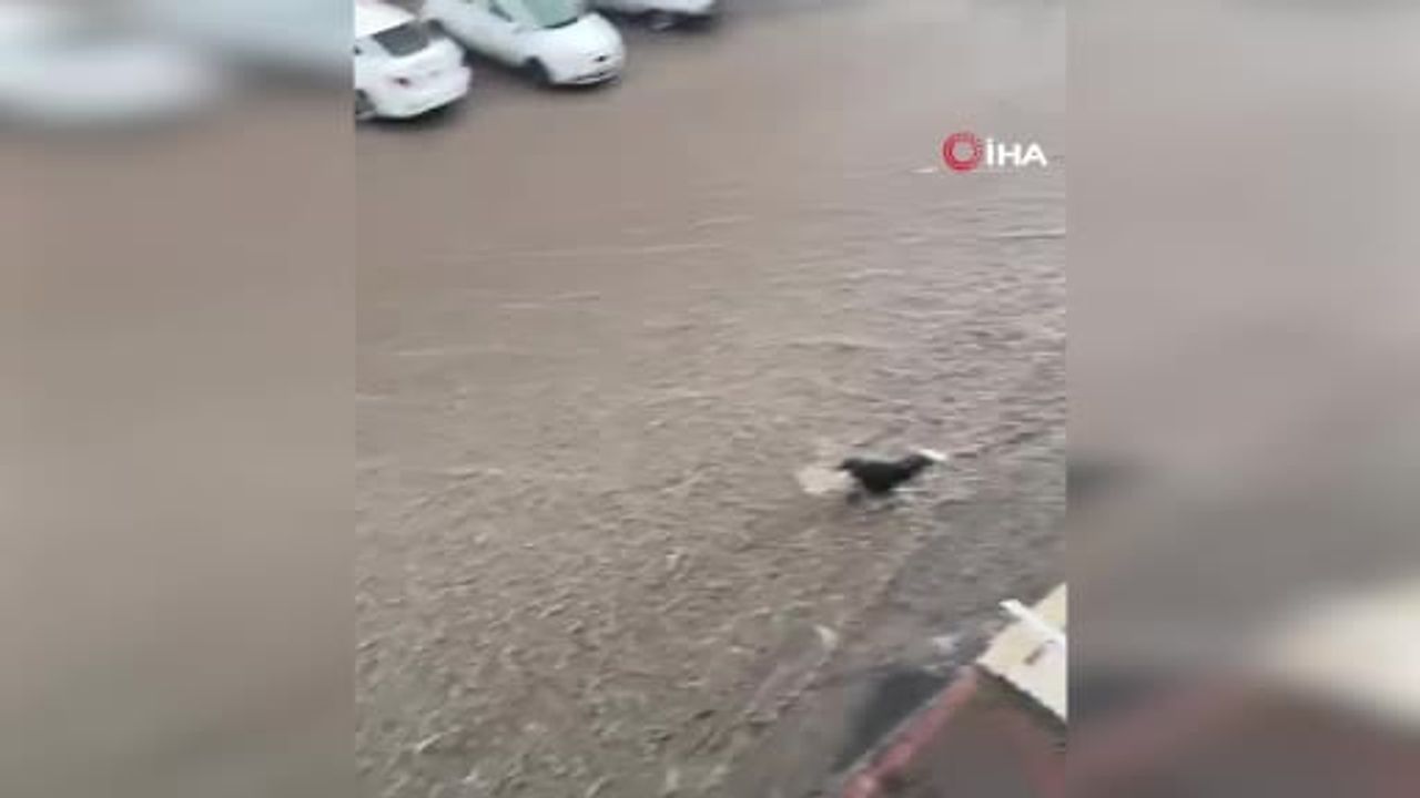 Ankara’da sağanak yolları göle çevirdi: Keçiören ve Yenimahalle’de su baskınları