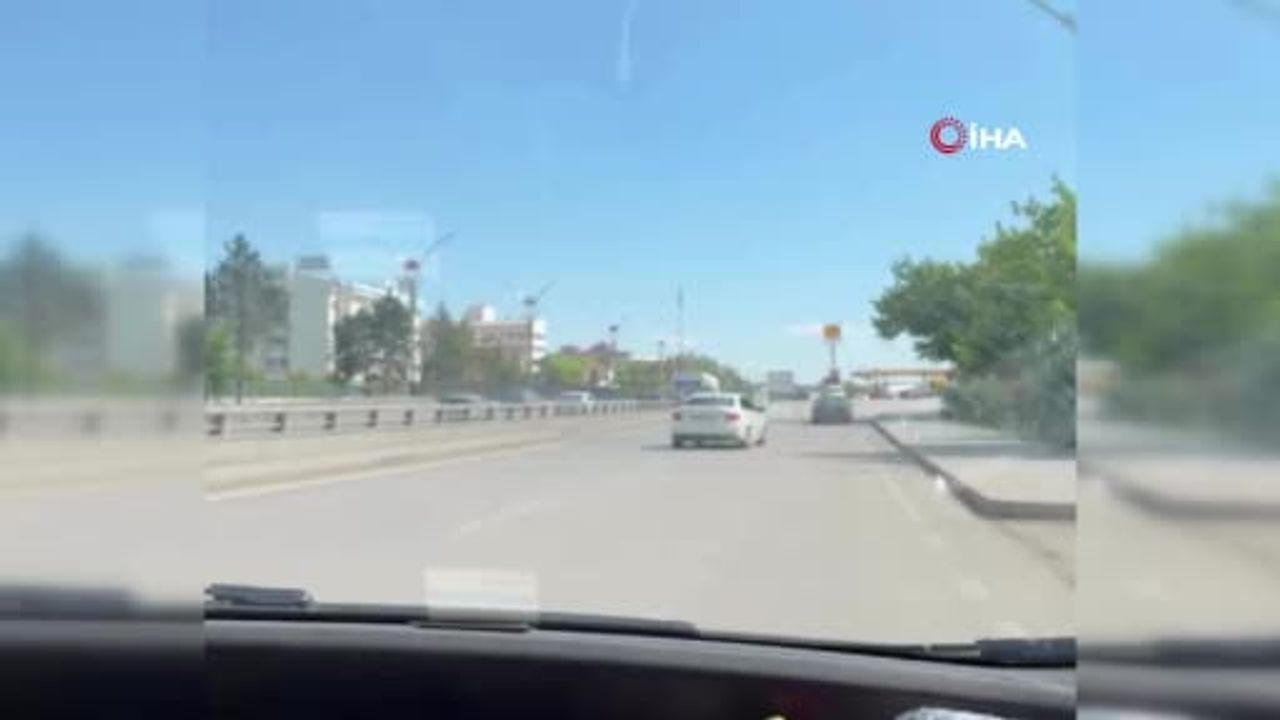 Ankara Gölbaşı'nda kurbanlık dana sahibinden kaçtı, vatandaşlar yakalamaya çalıştı