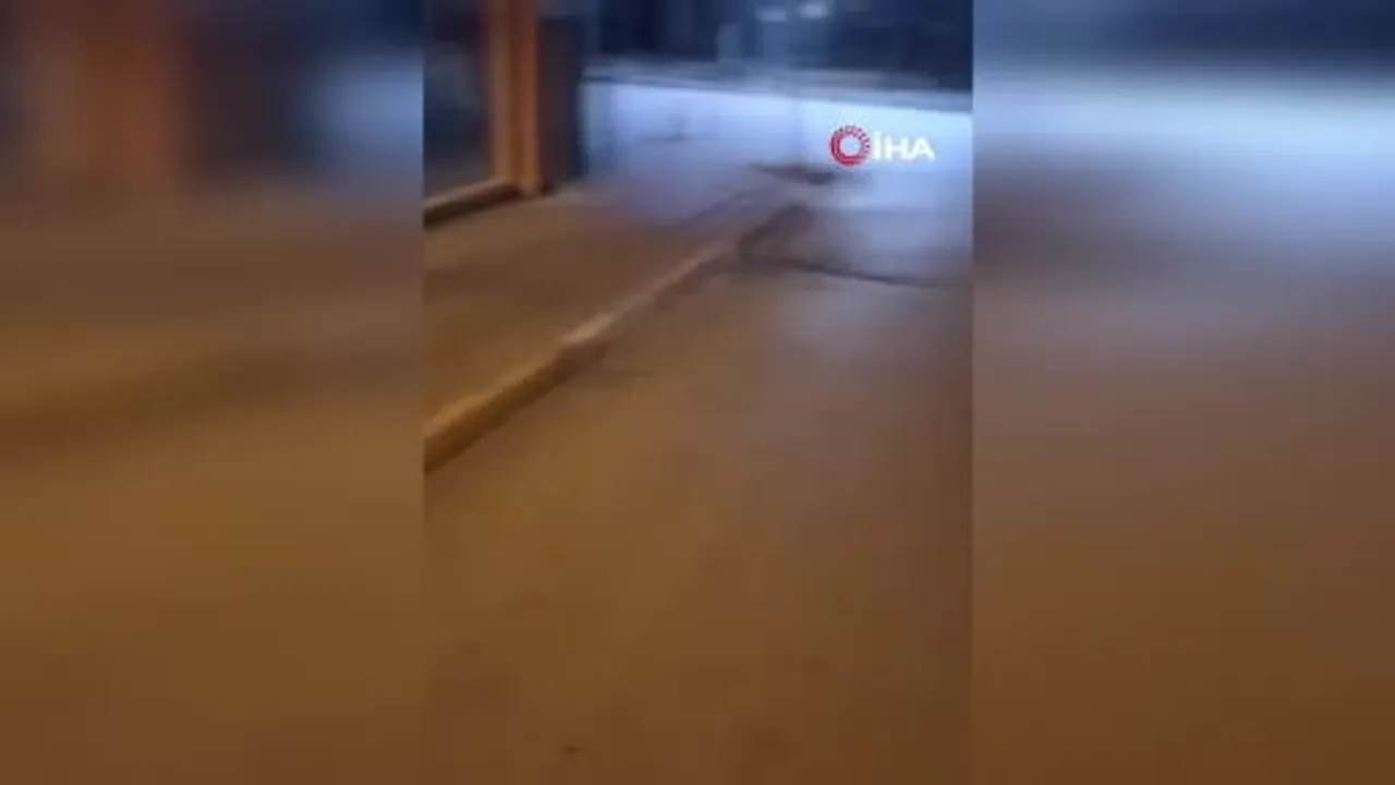 Ankara merkezli "Ruhsuzlar" operasyonunda 6 şüpheli tutuklandı