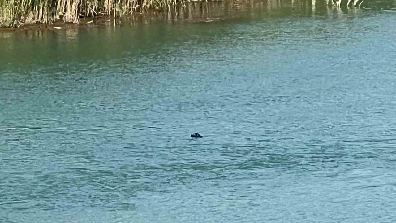 Antalya'da Aksu Çayı'nda akıntıya kapılan genç için arama çalışması sürüyor