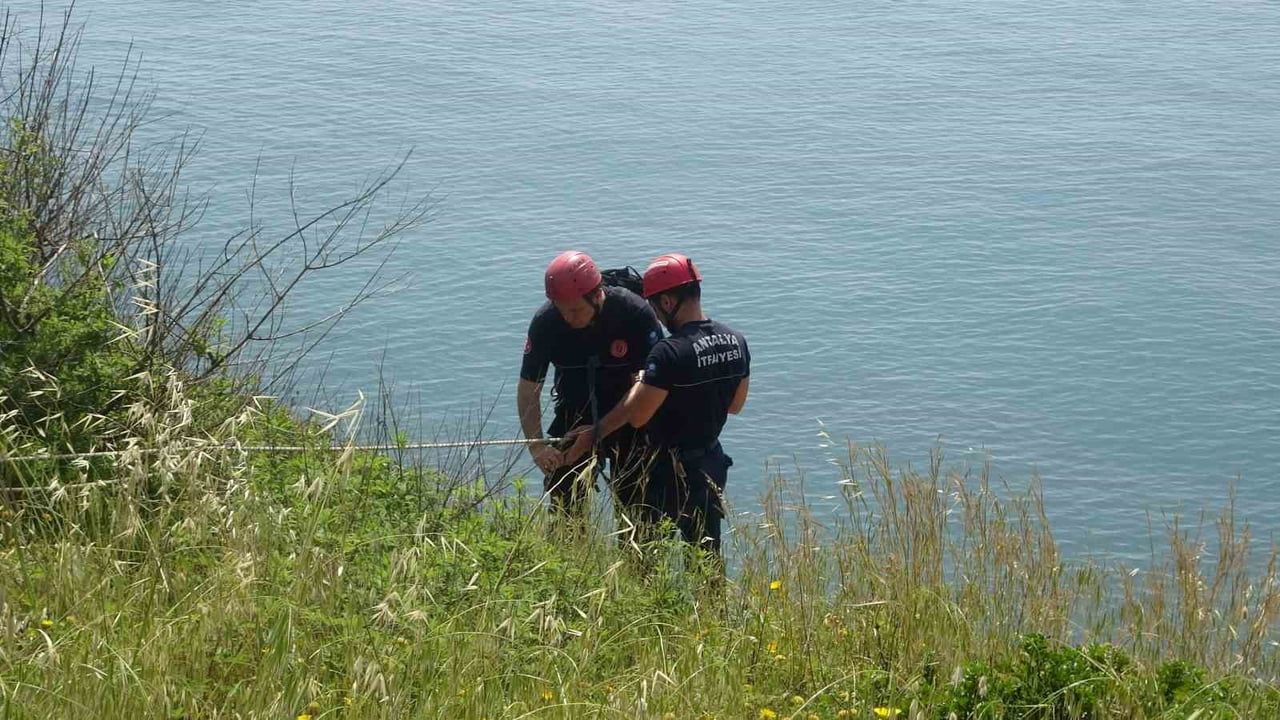 Antalya'da falezlerden düşen köpek Nika, dronla tespit edilip itfaiye tarafından iple kurtarıldı