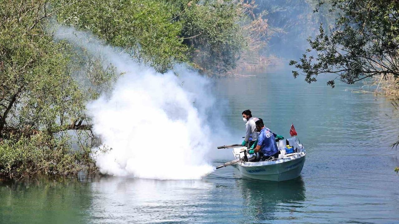 Antalya'da vektörle mücadele: 1600 personelle kent genelinde düzenli ilaçlama
