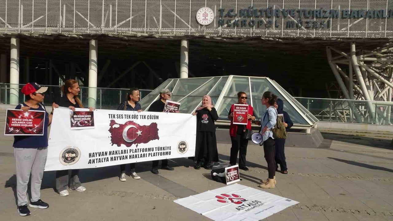 Antalya Nekropol Müzesi'ndeki tel ve ağ sistemi güvercinlerin zarar görmesine yol açıyor
