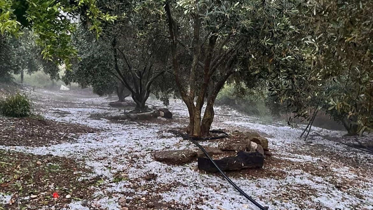 Antalya Serik'te Dolu Yağışı: Şahintepesi'nde Vatandaşlar Hem Kaydetti Hem Dua Etti