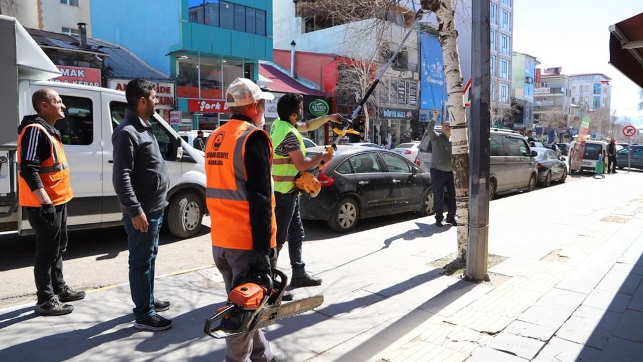Ardahan Belediyesi'nden Kent Genelinde Mevsimsel Ağaç Budama Çalışmaları