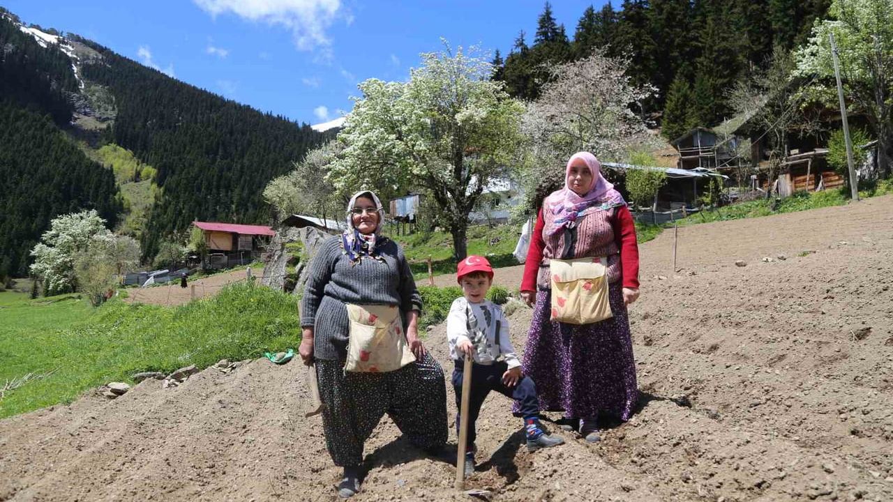 Artvin Kaşıkçılar Mahallesi'nde 1400 rakımda imece usulüyle doğal tarım sürüyor