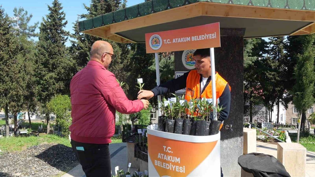 Atakum Belediyesi, Kurban Bayramı arefesinde kabir ziyareti yapanlara çiçek fidesi dağıttı