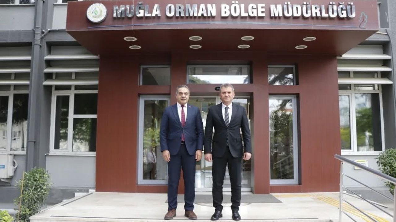 Aydın'da kestane ağaçları Torymus sinensis ile biyolojik mücadeleye alındı