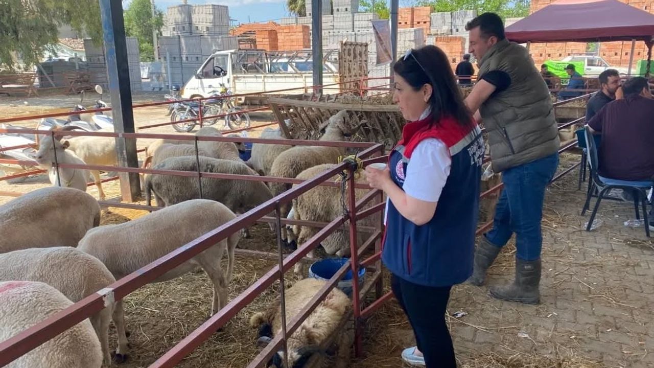 Aydın'da Kurban Bayramı Boyunca Denetimler Sürecek