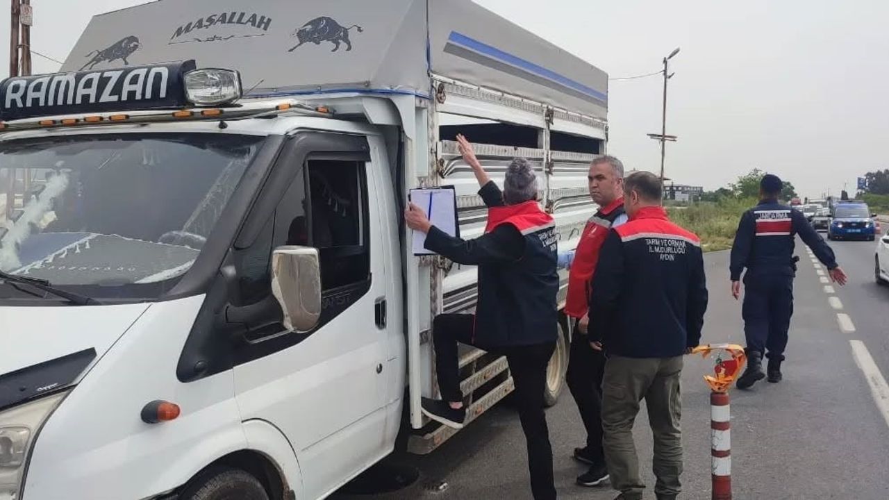 Aydın'da Kurban Bayramı Öncesi Yol ve Hayvan Nakil Denetimleri Artırıldı