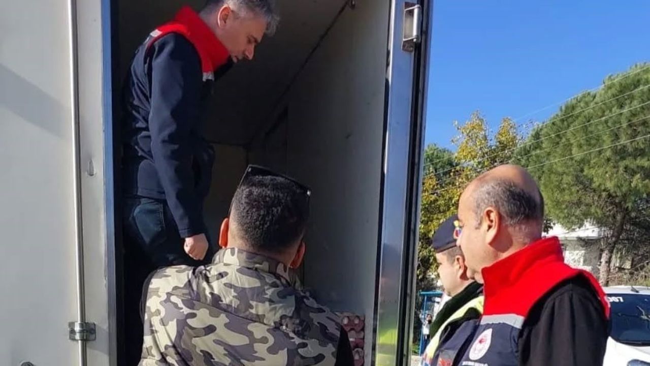 Aydın'da Kurban Denetimleri Sıklaştırıldı: 'Küpe ve Pasaporta Dikkat' Uyarısı