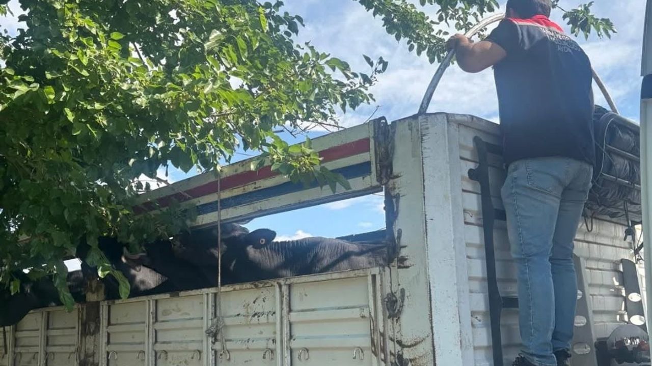 Aydın'da Kurbanlık Nakilleri İçin Yol Kontrolleri Yapıldı