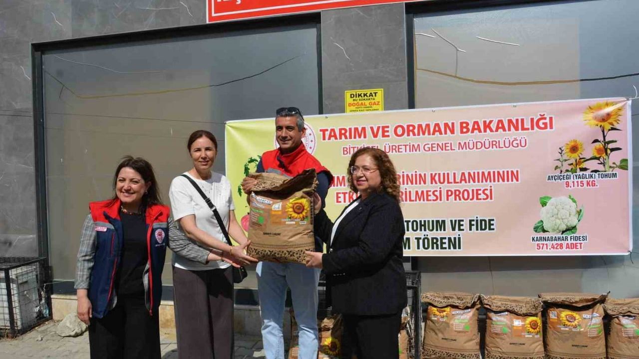 Aydın'da TAKE projeleri kapsamında Germencik'te ayçiçeği tohumu dağıtımı sürüyor