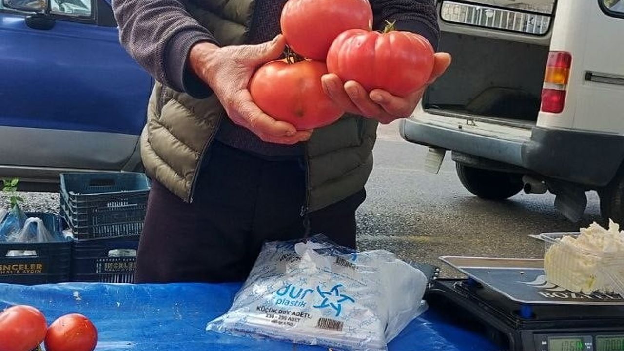 Aydın pazarında 850 gramlık domates bayram alışverişinde ilgi çekti