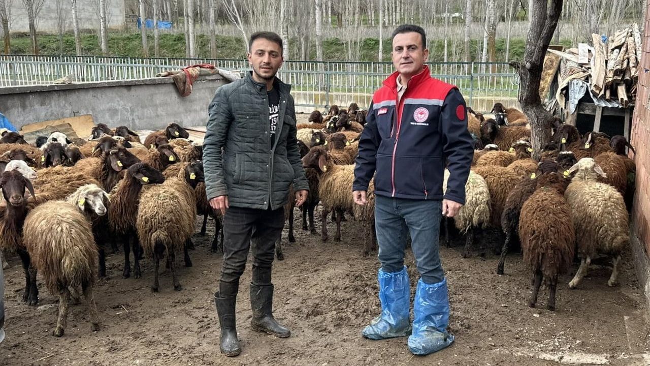 Aydıntepe'de 'Köyümde Yaşamak İçin Bir Sürü Nedenim Var' Projesinde Küçükbaş Kontrolleri Sürüyor
