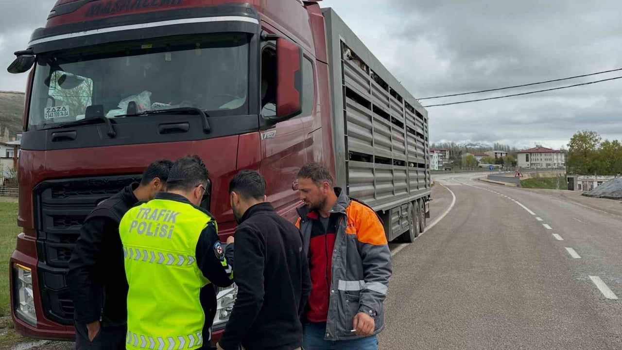 Aydıntepe'de Kurban Bayramı Öncesi Hayvan Nakil Denetimleri Sürüyor