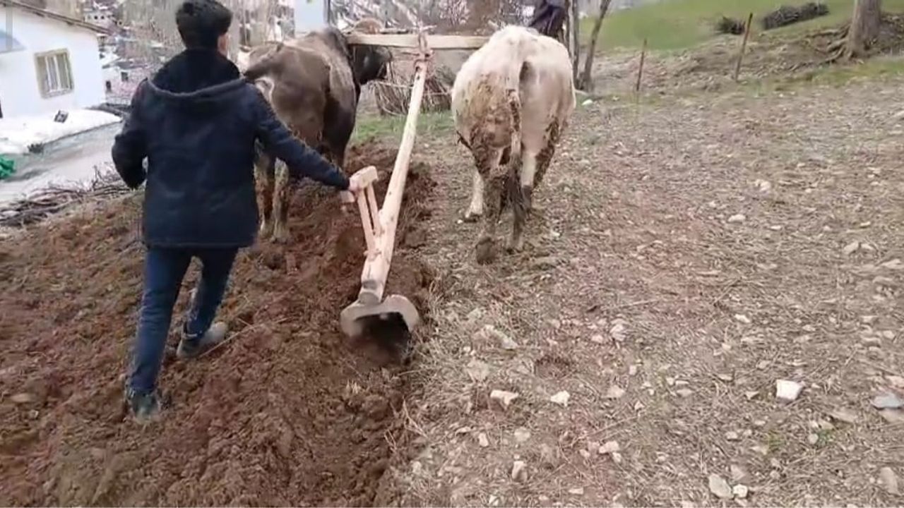 Bahçesaray’da Traktörün Giremediği Yamaçlarda Karasabanla Tarım