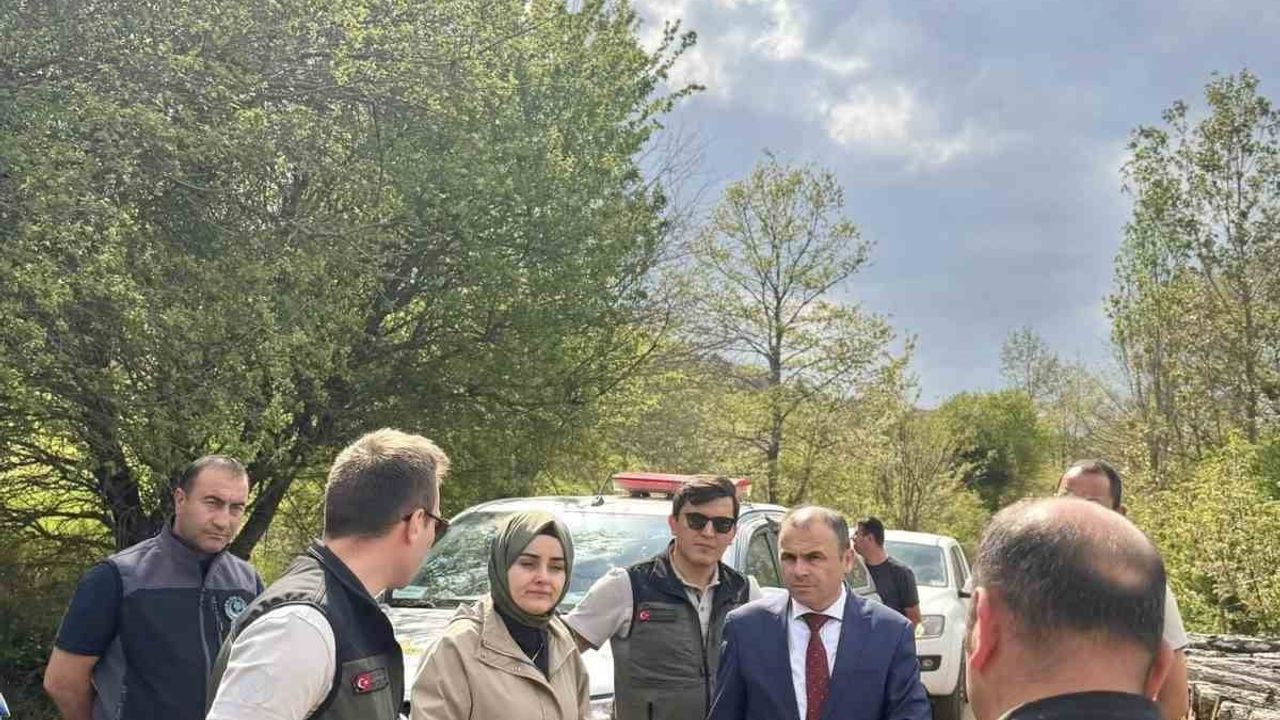 Bilecik’te 27 Haziran 2025 yangın sahalarında ağaçlandırma çalışmaları yerinde incelendi
