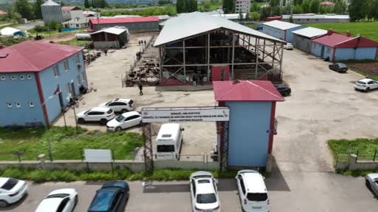 Bingöl Canlı Hayvan Pazarı'nda Kurban arefesi hareketliliği