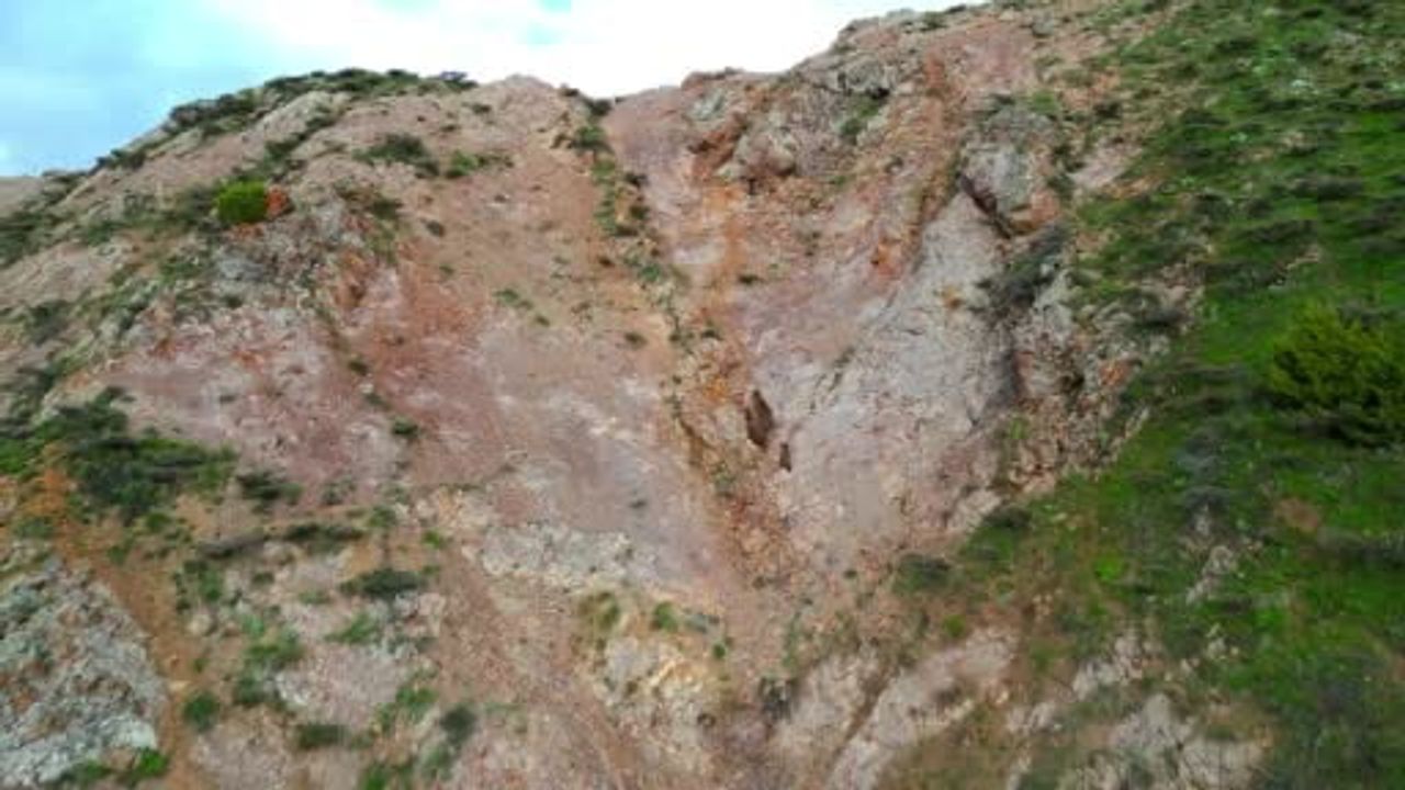 Bingöl'de kartalın yavru ayılara saldırı girişimi dron ile kaydedildi