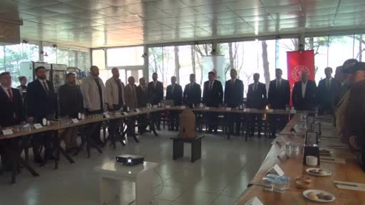 Bitlis Ahlat'ta 'Geleneksel Ahlat Taş İşçiliği Çalıştayı' düzenlendi