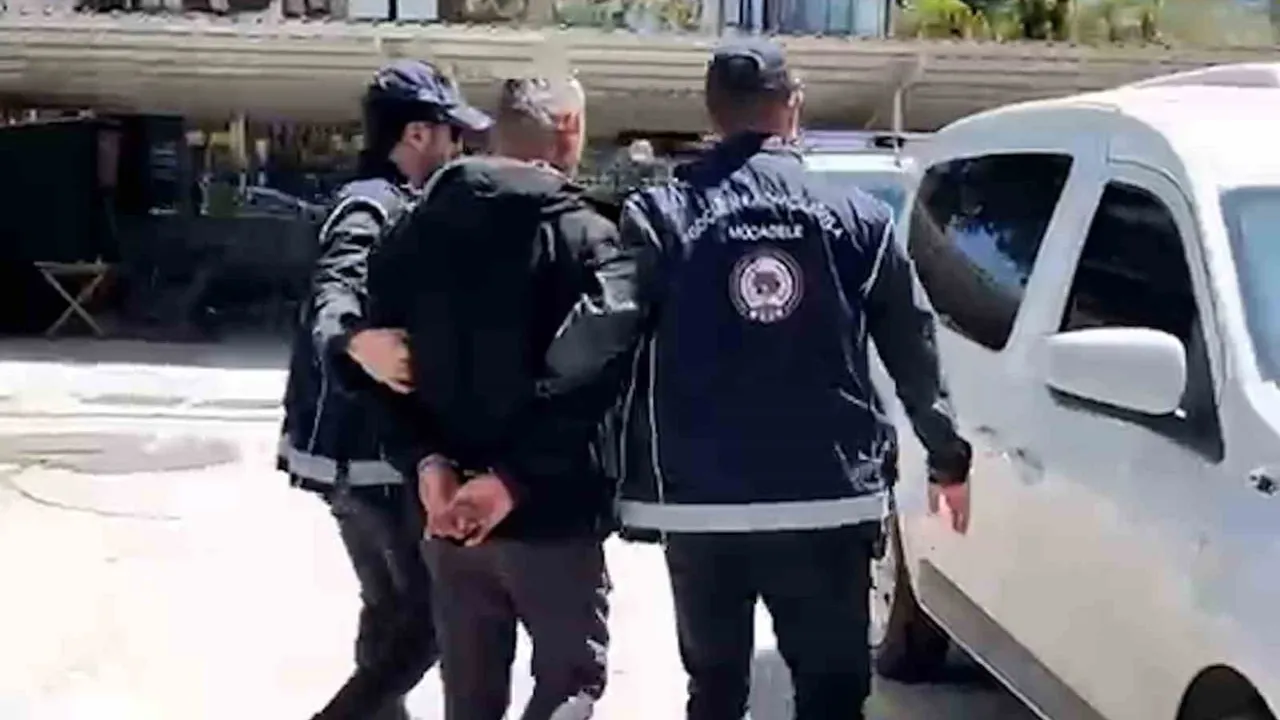 Bolu TEM Otoyolu'nda durdurulan kamyonda 10 düzensiz göçmen yakalandı, sürücü tutuklandı