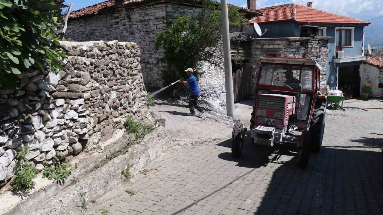 Bozdoğan'da kireçleme çalışmalarıyla haşere mücadelesi sürüyor