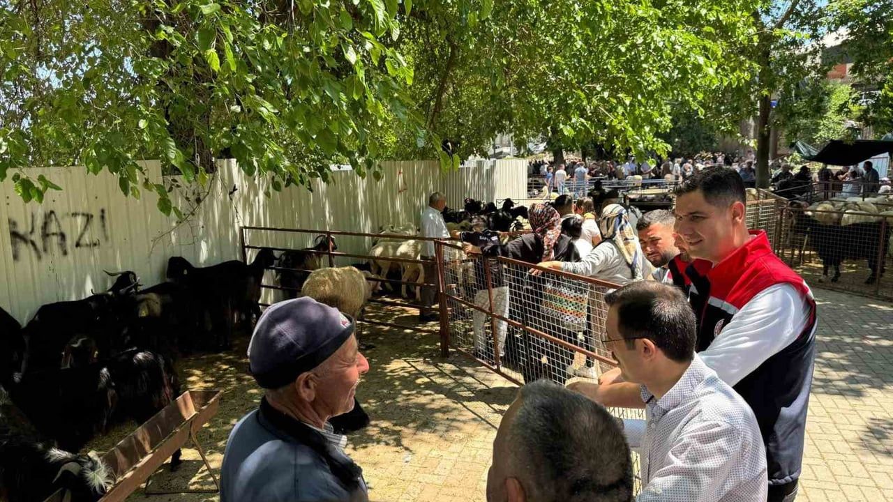 Bozdoğan'da Kurban Bayramı Öncesi Hayvan Pazarında Sıkı Denetim