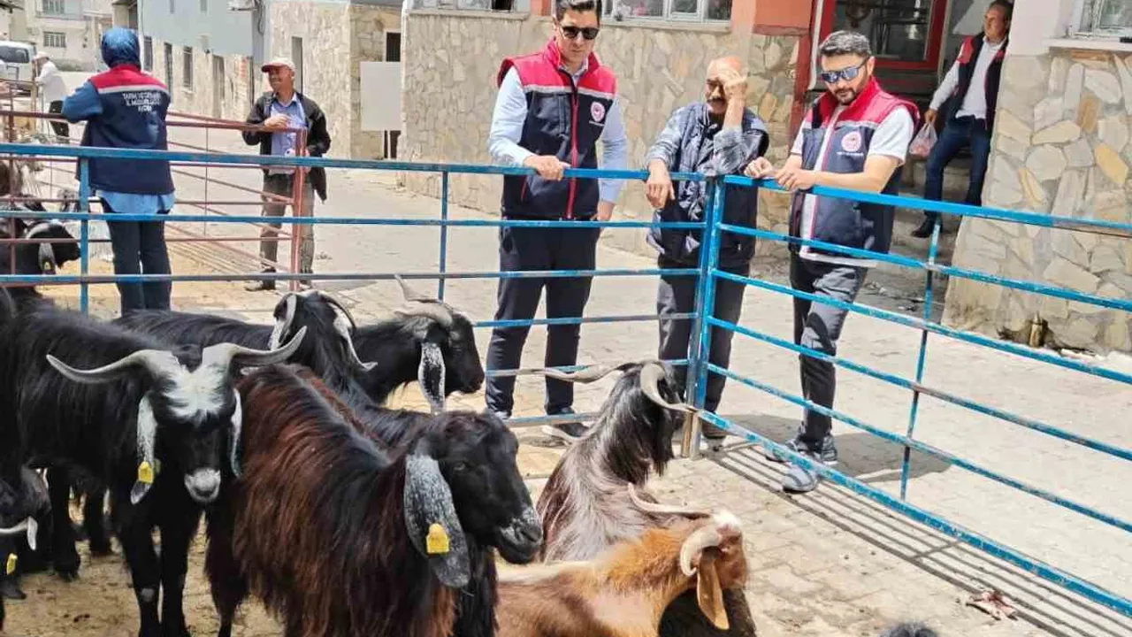 Bozdoğan'da Kurban Satış Alanları Denetlendi: Yazıkent'te Hijyen ve Sevk Belgeleri Kontrolü